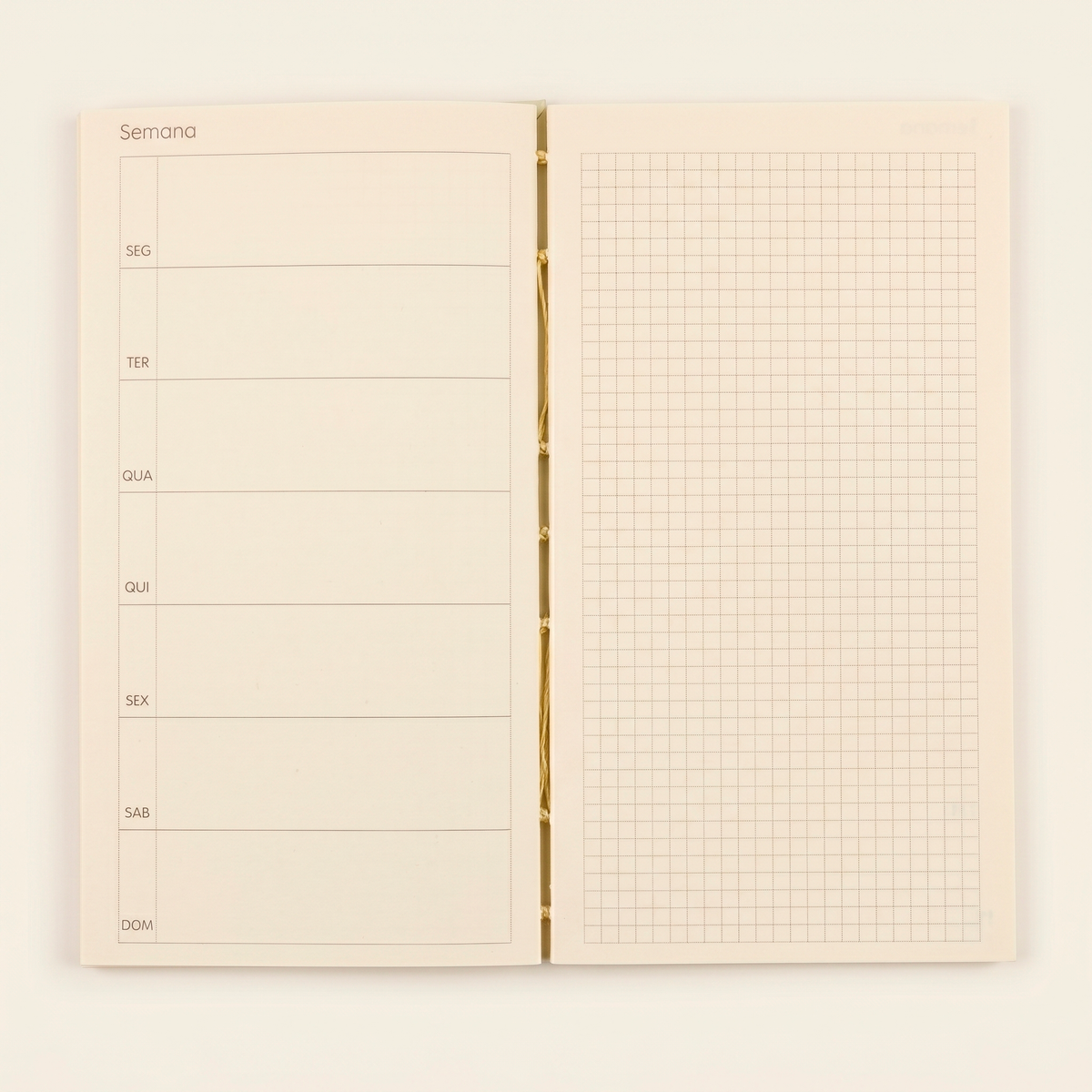 Planner Semaninha